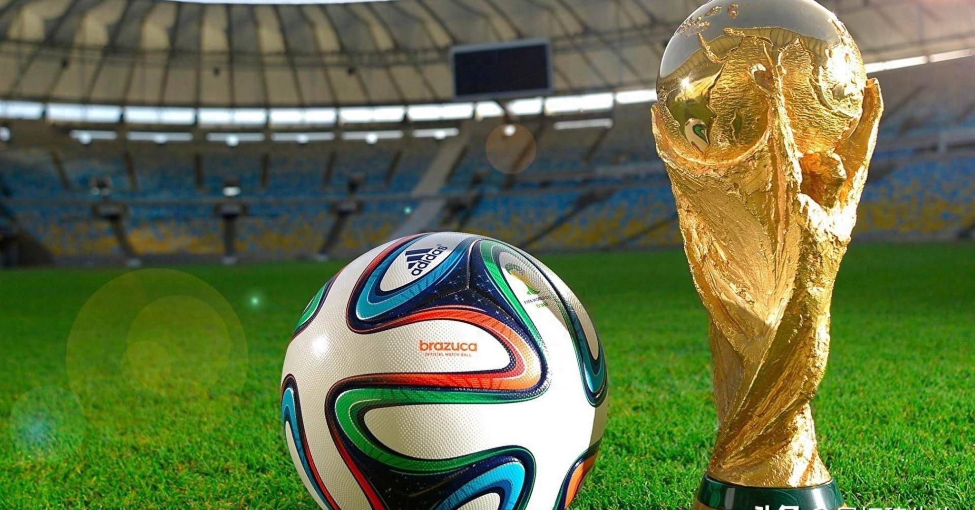 成功的背后 成功的背后